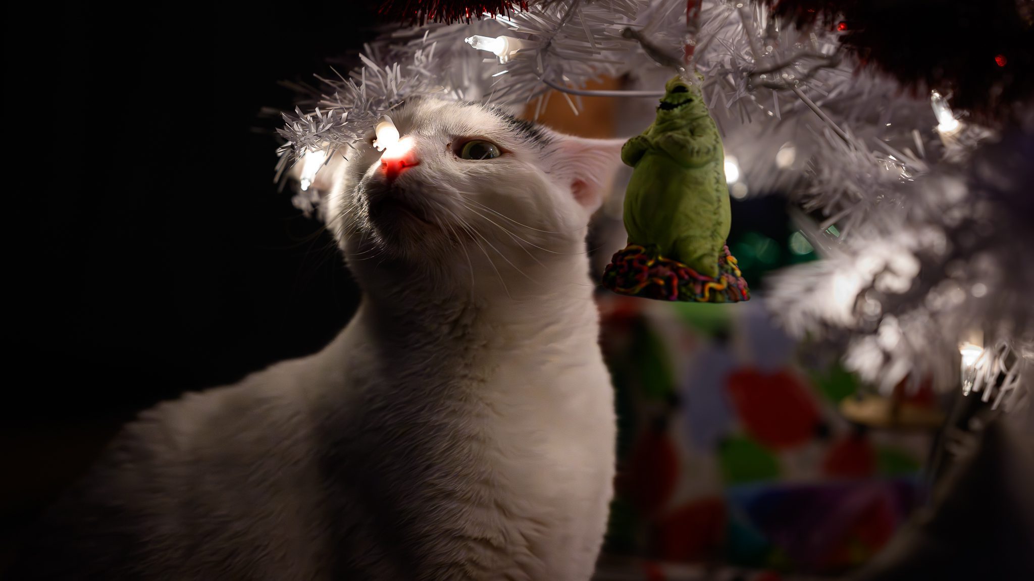 a white cat under branches of a white christmas tree with white lights on it, his nose booping one off the lights.