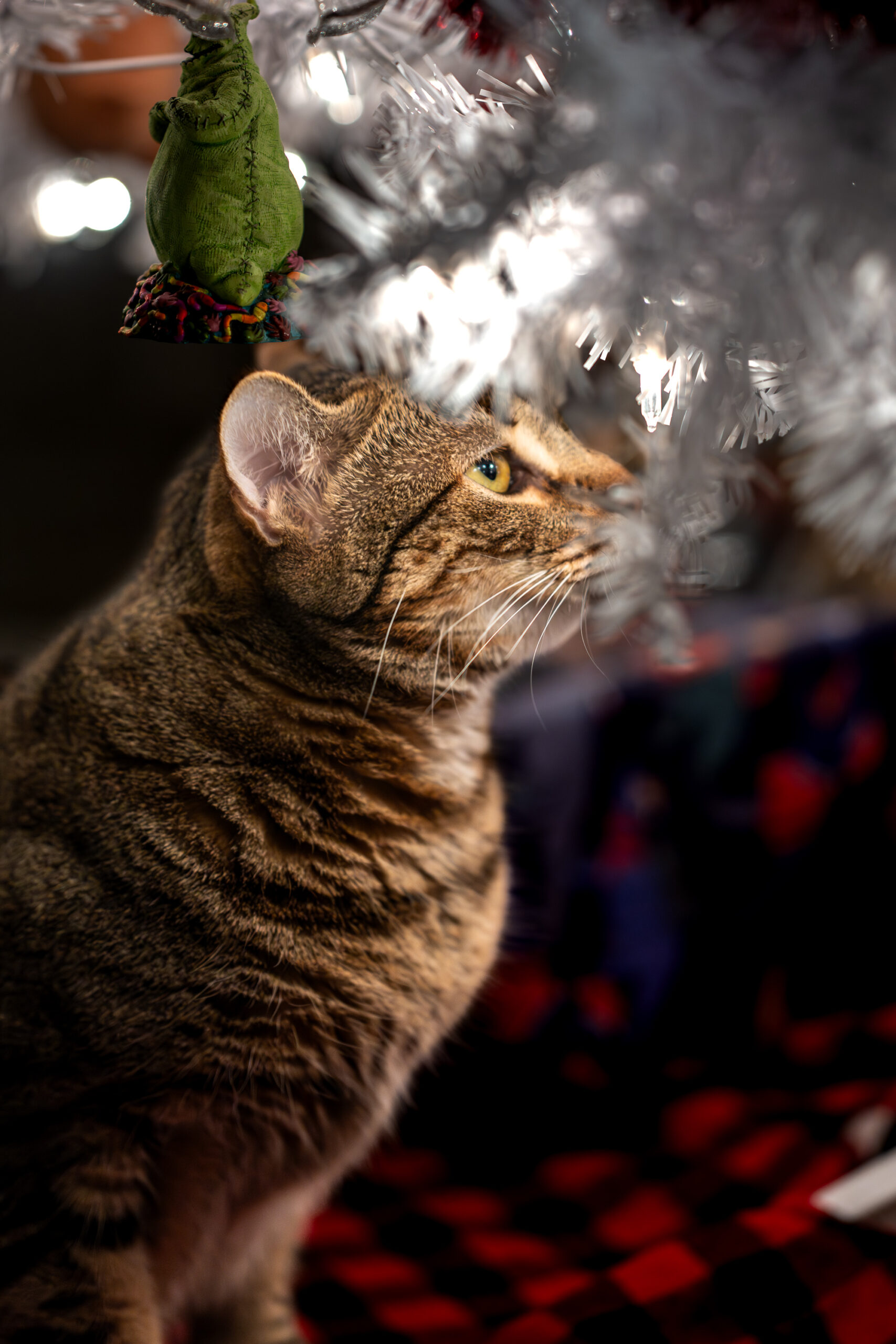 A warm grey tabby cat framed with the white branches of a faux christmas tree.
